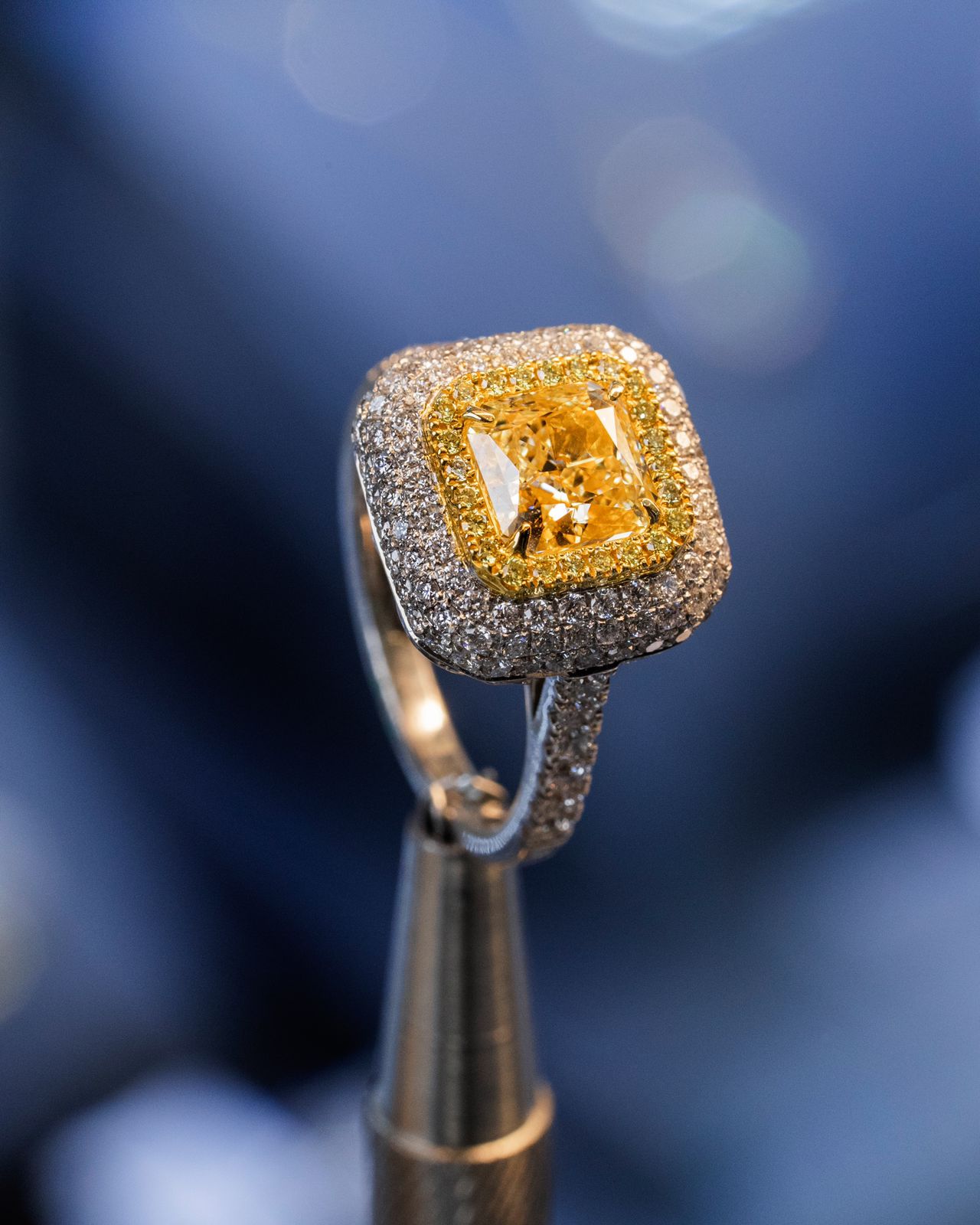 Special Discounts! Get 20% Off on Exclusive Selections: Limited-Time Special Discount!
